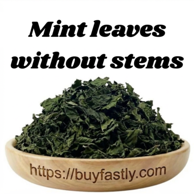 Mint leaves without stems
